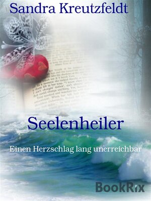 cover image of Seelenheiler